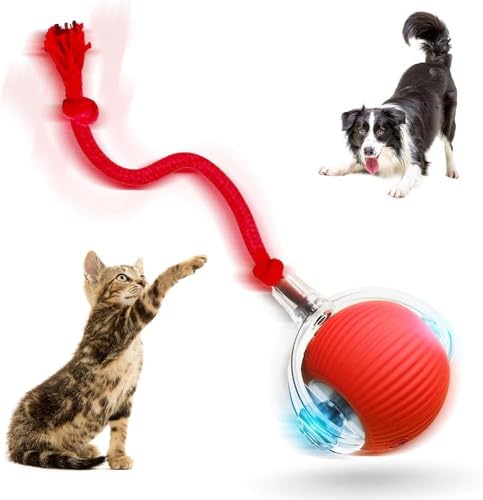Ziswin 2026 Neue Interaktive Katzenspielzeugbälle für Hauskatzen, Bewegungsaktivierte Hundebälle mit 360° Intelligenter Automatischer Rollbewegung für Gelangweilte Kätzchen, Haustiere (Rot)