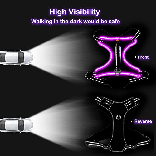 Light Up Dog Harness, No Pull LED Dog Harness with Handle, Rechargeable Lighted Safety Vest for Small Medium Large Dogs, Adjustable Soft Dog Lights for Night Walking