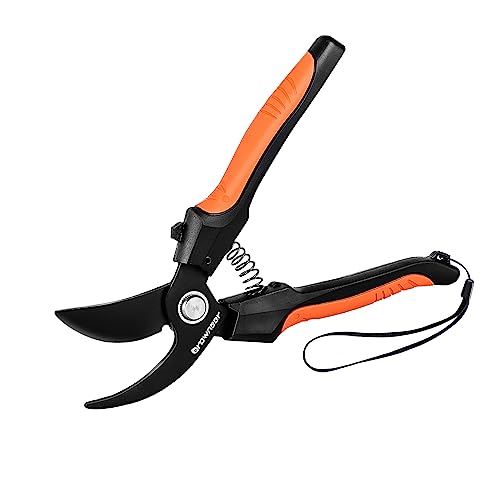Find The Best Hand Held Hedge Shears Reviews & Comparison Katynel