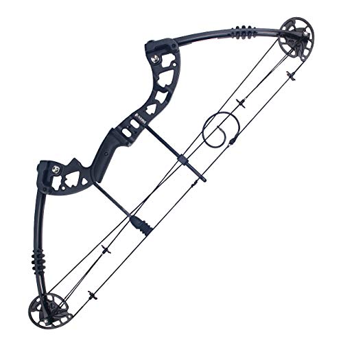 image for SinoArt Compound Bow 30-55lbs 24