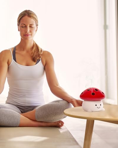 Smily Face Incense Cone Holder Cute Mushroom Incense Cone Burner Unique Gifts for Women Men