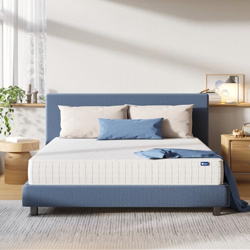 Avenco Materasso Matrimoniale 160x190, Altezza 24 cm, Materasso Molle Insacchettate, Materassi Letto, Materasso a 3 zone, Rigidità Media, Tessuto Traspirante, Certificato Oeko-Tex