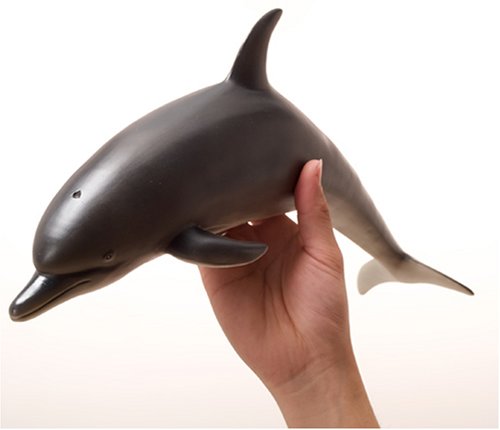 Amazon | バンドウイルカ ビニールモデル | 生物・動物・人体 | おもちゃ