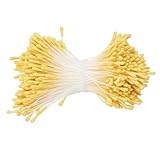 Cheerix