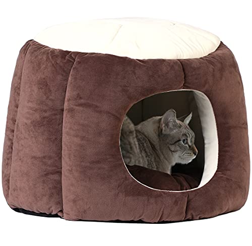 V-Dank ybgnEX xbh  L h[^ ~  ^ ^ p  xbh h[ LbgnEX ΍ ۉh p ӂӂ RR NbVt ېok I[V[Y  薰 L p 