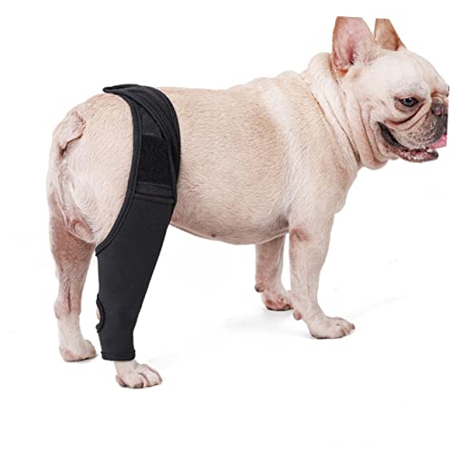 Image of Beaupretty Dog Knee Brace Leg Brace Paw Butter Balm for Dogs Step in Dog Harness Paw Balm Dogs Lick Safe Leg Sleeves Dog Joint Puppy Knee Dog Acl Brace Hind Leg Pet Neoprene Fabric