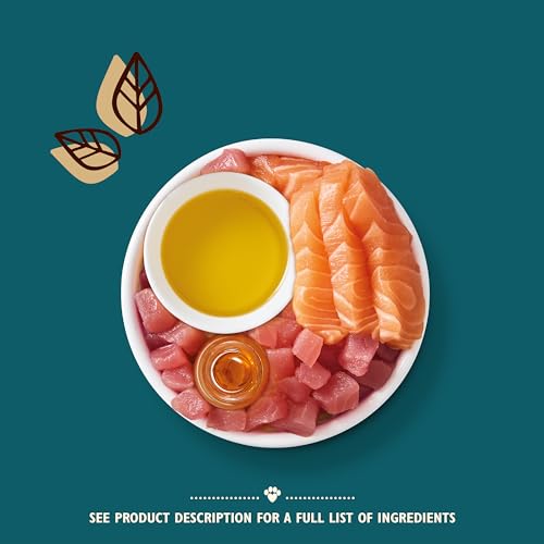 Lily’s Kitchen Nass Katzenfutter für Shredded Fillets 24er Pack (24 x 70g) Thunfisch und Lachs – Bild 5