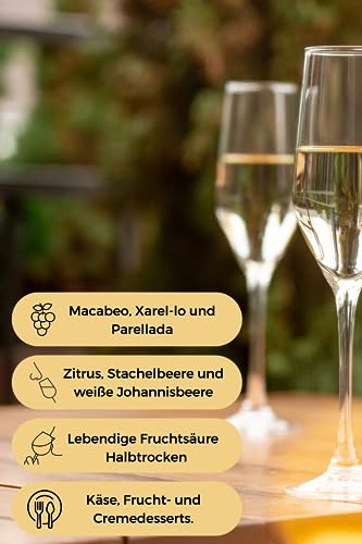 Codorniu Vinho Espanhol Semi Classico 750Ml