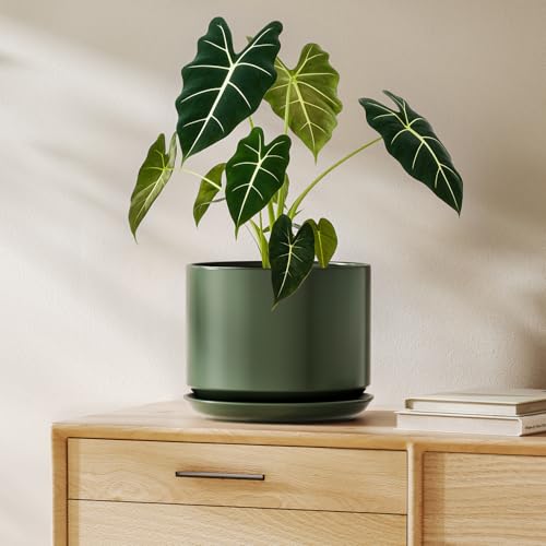 LE TAUCI Maceta de Cerámica de 20 cm con Plato Integrado y Agujero de Drenaje, Macetero Moderno y Minimalista para Plantas de Interior, Verde