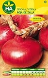 SEMILLAS CEBOLLA ROJA DE ZALLA SOBRE