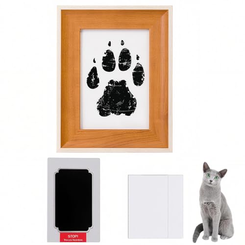 Lifetips VAu[ VA Russian Blue ybgp  X^v Lbg ^  ``X^v `쐬Lbg LO  Ȃ `    ` ^ ȒP S y Ճpbh IWi 