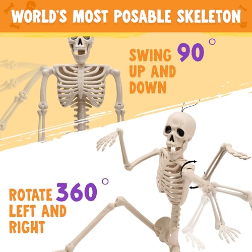 Image of JOYIN 5 PCS Posable Halloween Skeleton Decor 16 Inches, Full Body Movable Joints Posable Skeleton, Hanging Skeletons for Halloween Decoration, Home Yard, Graveyard, Haunted House, Spooky Scene