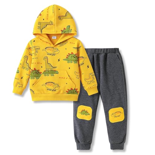 3 4 t Toddler Baby Boy Clothing Sets Little Dinosaur Printed Long Sleeve Tops Sweatshirt Hoodies Pants Kids 2pcs Outfits Fall Winter(3-4)
