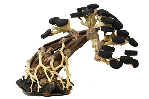 Bonsai Driftwood Aquarium Tree AWP Random Pick (12in Height) Natural, Handcrafted Fish Tank Decoration | Easy to Install