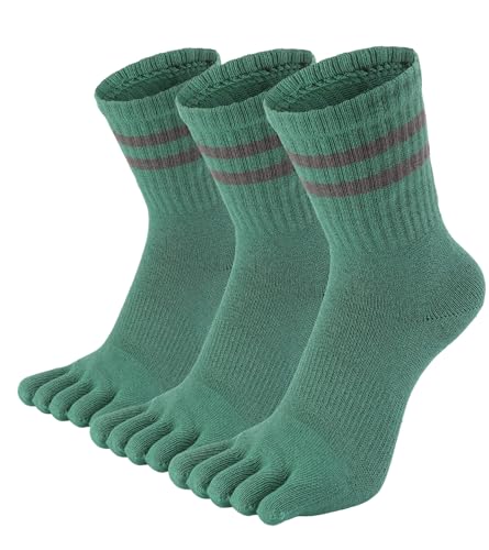 [WIOIW] 5{w\bNX fB[X ܖ{wC X|[c\bNX p  jO ʋ ʊw v 3