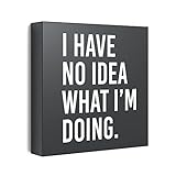 Modern Market I Have No Idea What I’m Doing Box Sign Modern Funny Quote Home Decor Wooden Sign...