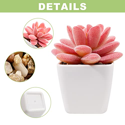 Hywean Homd 6 Pezzi Piccole Piante Finte in Vaso