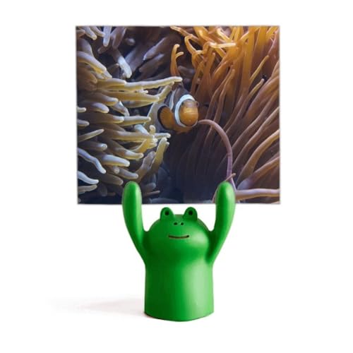 Memo holder poisson et océan mignon : support grenouille en résine pour bureau