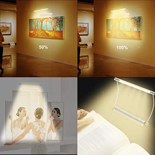 LUXSWAY Picture Light Battery Powered, Wireless Remote Control Painting Light, 300° Rotatable Light Head Art Display Light, Timer Auto Off, 3 Modes Dimmable Over Lighting for Picture Artwork Mirror