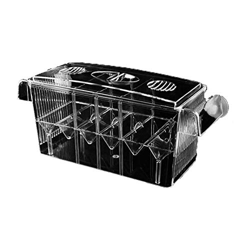 Domire Autoflotante criadero de Peces de la Caja Transparente de Alta Acuario...