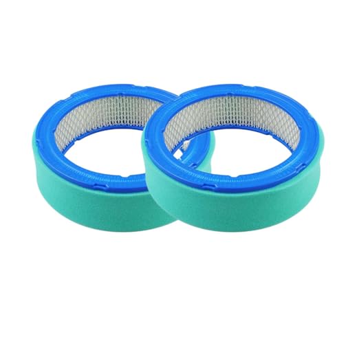 Lot filtre à air Briggs Stratton 394018 pour l'entretien de printemps du tracteur de pelouse