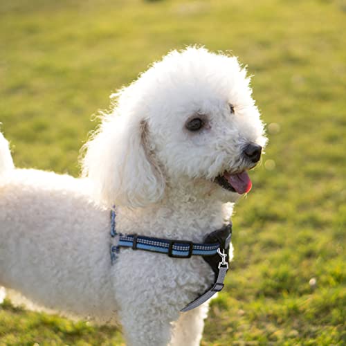 Cobee Hundehalsband Clips,2 Stück reflektierende Nylon Sicherheit Verstellbarer Haustier Hundehalsband Geschirrverbinder doppelseitiger Sicherungsverschluss Clip für Hundewelpen(schwarz, grau)