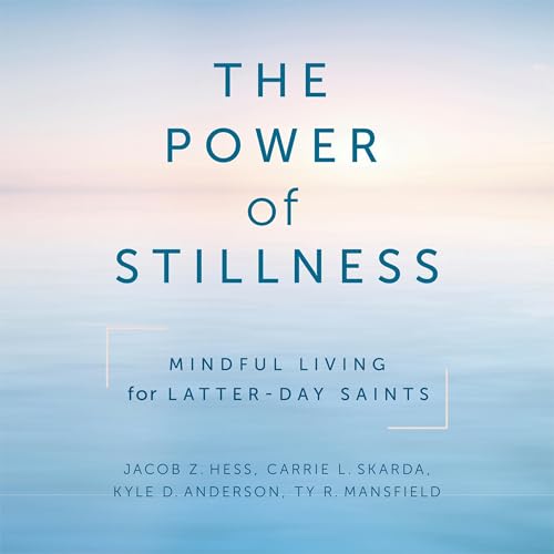 The Power Of Stillness by Jacob Z. Hess episode artwork