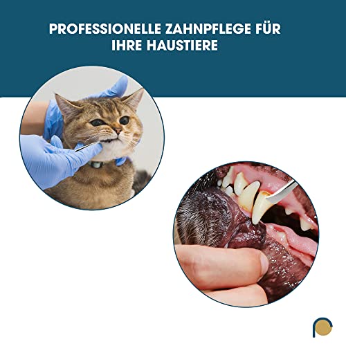 REMOS Zahnsteinentferner 2 in 1 Zahnpflege, für Hund, Katze & Menschen geeignet