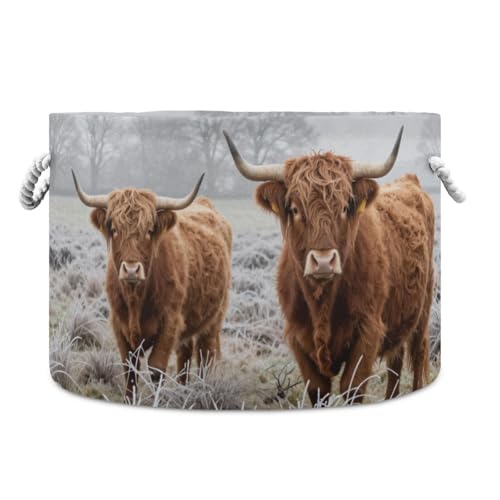 Image of Scottish Highland Cow Cotton Rope Basket, XXX Large Collapsible Storage Basket for Toys, Pillows, Blankets in Living Room, Laundry Room, Bathroom, Home Decor