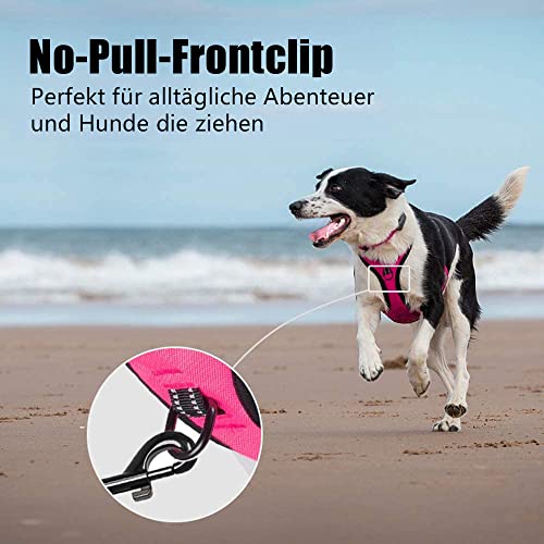 PoyPet No Pull Hundegeschirr, reflektierendes Westengeschirr mit 2 Leinenbefestigungen und einfachem Steuergriff für kleine mittelgroße Hunde (Rosa, M (1er Pack))