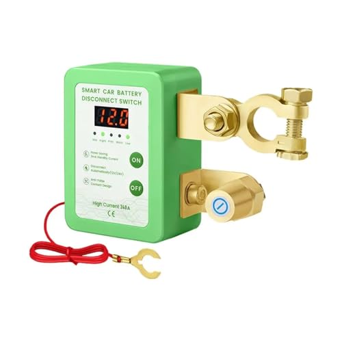 Interrupteur d'arrêt de batterie contre la décharge auto 12V 240A LED - 2