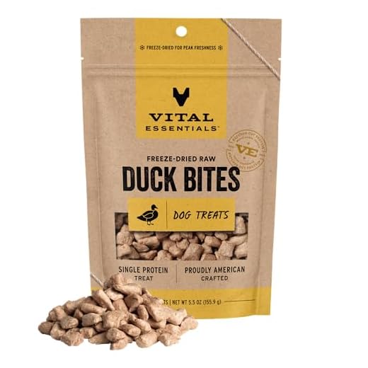 Vital Essentials Freeze Dried Dog Treats | Duck Bites, Single Protein | Premium Quality | Grain Free Training Treats for Dogs, 5.5 oz Bag