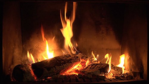 Fire Dvd And Freshwater Fishes Dvd - 2 Dvd Set Fireplace And Freshwater Aquariums 2016 #TOP5