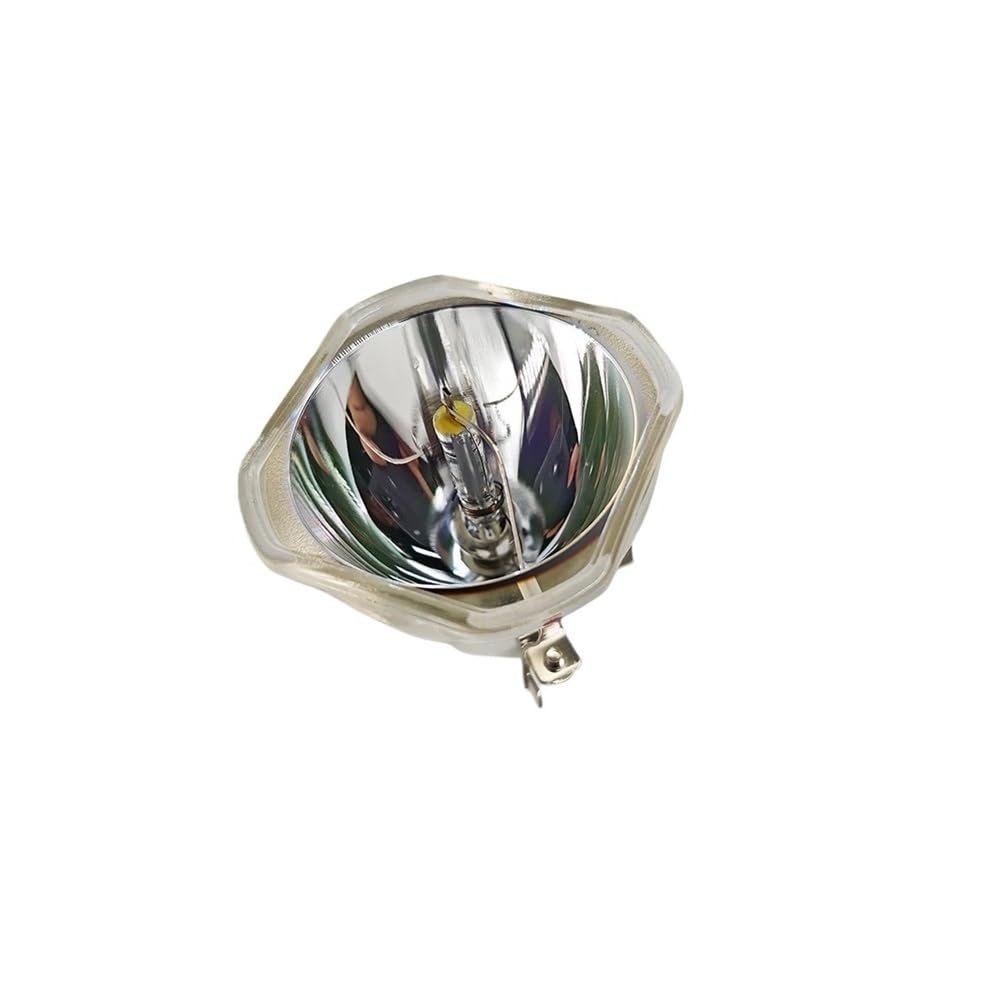 Lampada for proiettore V13H010L95 adatta for EPSON EB-2055 EB-2265U EB-5520W EB-5530U EB-X500KG PowerLite 2000, EB-X550KG Parti di ricambio(CB)