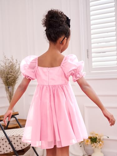 WDIRARA Girl's Mesh Short Puff Sleeve Square Neck High Waist Flared Hem Zipper A Line Dress2