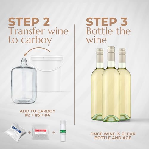 BestwineAmerica Miracle Grape Extraction – 0.5 U.S. gal Kit Makes 6 U.S. gal of Wine - (30x750ml) (White style Pinot Grigio)