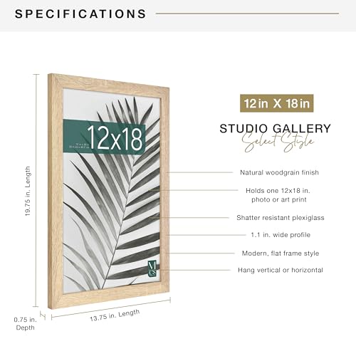 MCS Studio Gallery 12x18 Picture Frame Natural Woodgrain, Rectangle Photo Frame for Photos, Posters & Art Prints (1-Pack)