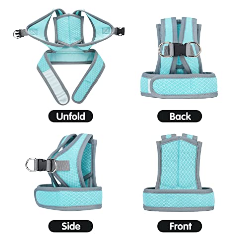 Dotoner Cat Harness And Leash Escape Proof Adjustable Vest For Cats Cat Walking Jacket With Air Mesh Harness And Running Cushioning Easy Control Outdoor Vest Lake Blue #TOP3