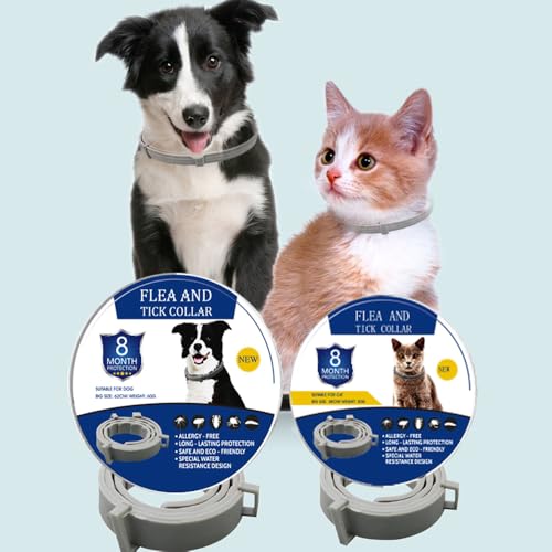 Zeckenhalsband für Hunde und Katzen Flohhalsband Antibellhalsband Katze – 100% Naturlatex – Wasserdicht & Verstellbar – Bis zu 8 Monate Schutz – Mückenabwehr & Flohschutz(Grau, 63,5 cm)