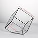 NCYP Small 3.93 Inches Geometric Glass Terrarium Box, Inclined Cube Clear Decorative Planter, Tabletop Air Plant Holder, Succulent Display Flower Pot, Black Centerpiece (No Plants, No Lid)