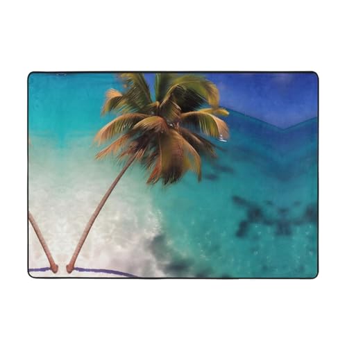 HJFCZH Caribbean Islands Prints Well-Crafted Faux Fur Rug 80x58in - Ultra Absorbent & Cloud-Like Comfort for Home & Office