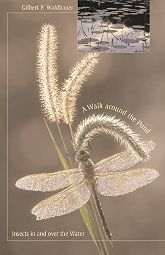 A Walk around the Pond: Insects in and over the Water (English Edition)