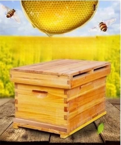 Kit de Colmena de Abejas de Madera 10 Marcos con Caja Profunda Madera de, Colmena de abejas melíferas - Ideal para Principiantes y Apicultores Profesionales - Fabricación Sostenible y Duradera