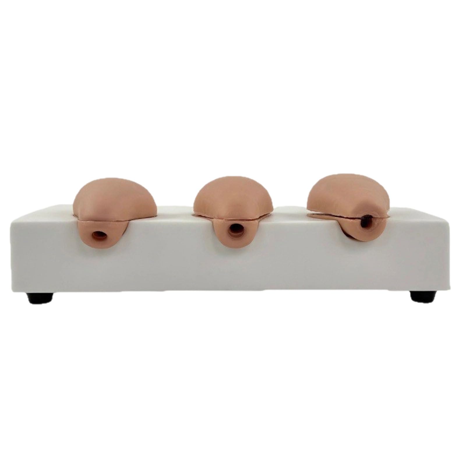 Kit professionale per anatomia uterina, strumento di texture in PVC per lo sviluppo delle abilità chirurgiche, strumenti di allenamento ginecologici