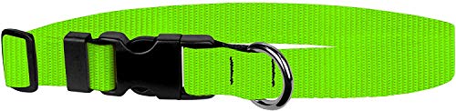 Image of Dog Collar - Colored Adjustable Pet Collars, 3 /4 Inch Wide, Small, Hot Green