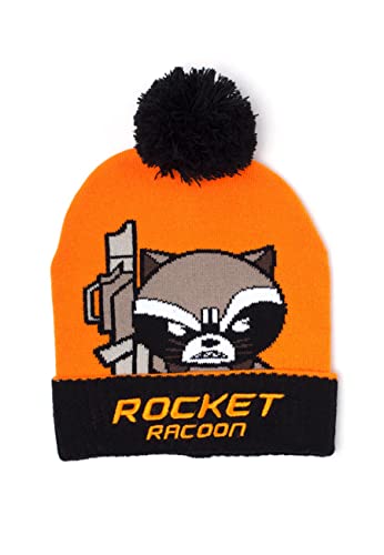 Bonnet Racoon Kawaii Art Marvel le cadeau parfait pour passionnés