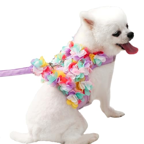 Pet Floral Mesh Harness Leash Set - Lightweight for Small/Medium Dogs (Poodle, Bichon) & Cats, Spring/Summer Walking Gear