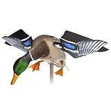 Avian X Powerflight Smart Motion Mallard Spinning Wing Duck Decoy, Ideal for Hunting, Outdoor, Wasp, Deer, Bee Deterrent, Fake Call, Animal Scare