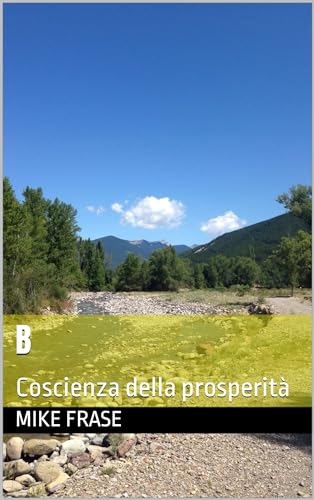 B: Coscienza della prosperità (Italian Edition)