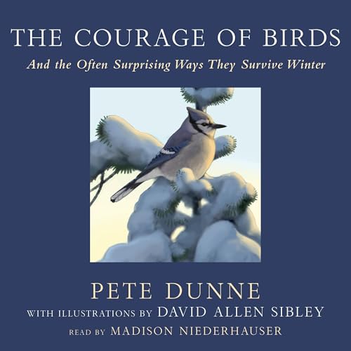 The Courage of Birds by Pete Dunne episode artwork